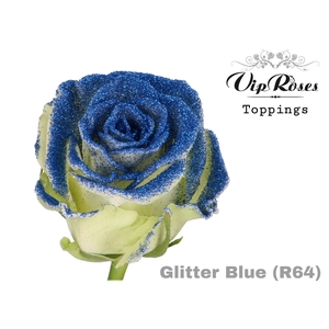 R Gr Glitter Blue R64