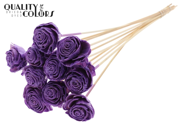 Shola Beauty Rose 6cm on stem Wax Milka