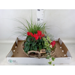 Arr.   Tuinplanten L%