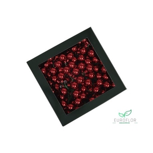 KERSTBAL GLASS 20MM ON WIRE 144PCS RED SHINY