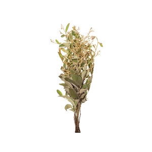 DEDO DE ANJO NATURAL