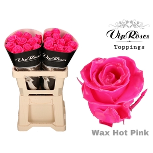 R GR WAX HOT PINK x20 (60CM)