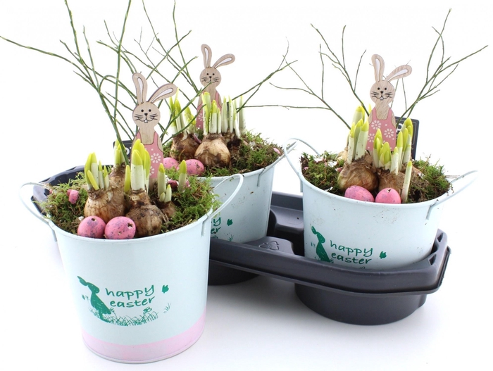 <h4>ARR N TETE A TETE</h4>