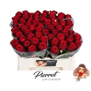 R GR RED NAOMI!
