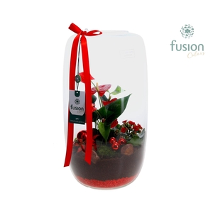 Green Bottle Isabella XXLarge Kerst met Arrangement