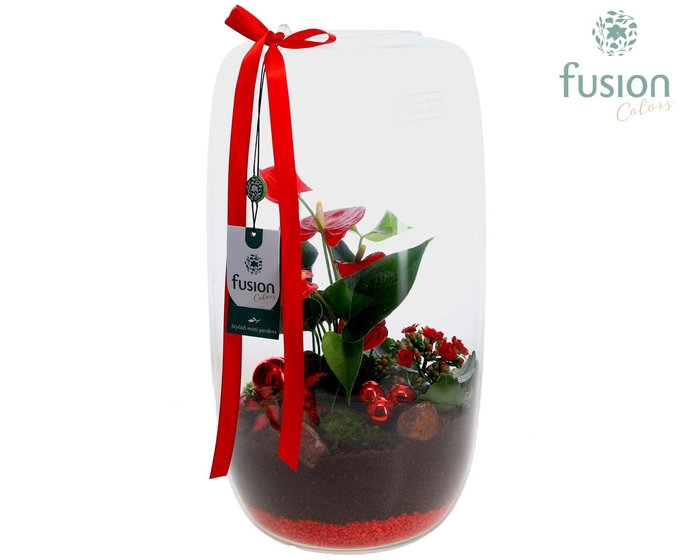 <h4>Green Bottle Isabella XXLarge Kerst met Arrangement</h4>