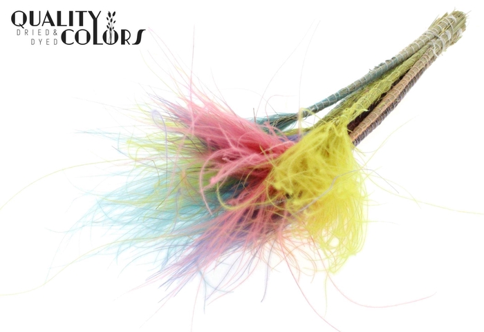 <h4>Droogbloemen   ...bewerkt H%</h4>