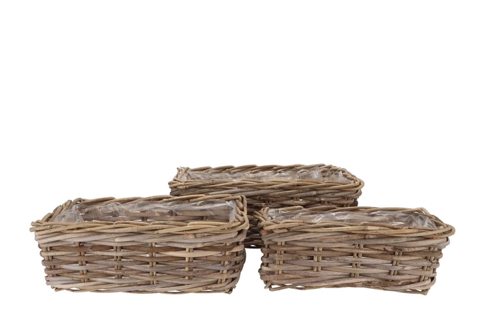 Rattan Ivy Basket Rectangle S/3 L34/37/41 W18/22/26