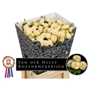 R Tr Royal Champagne Paul Hulst