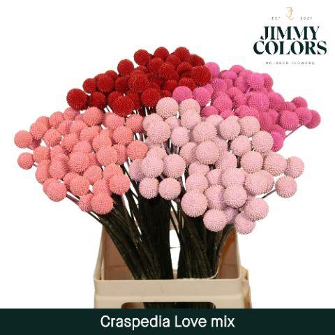 <h4>Craspedia L60 Love Mix</h4>