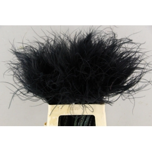 DF Stypha 60cm Bs Black