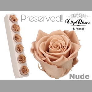 R PRESERVED NUDE