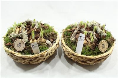 <h4>3986 MAND ZEEGRAS TETE</h4>