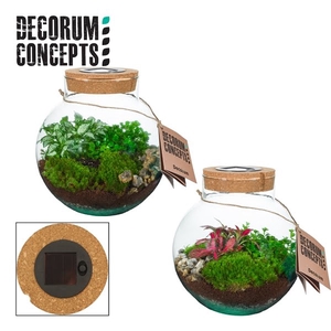 Terrarium Venus met solarsystem (Decorum concepts)