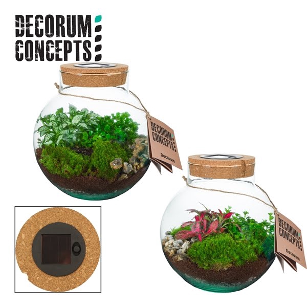 Terrarium Venus met solarsystem (Decorum concepts)