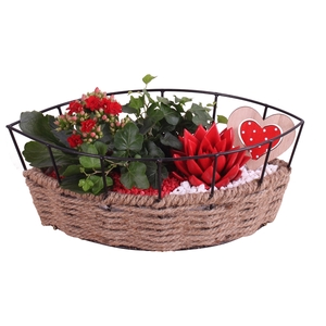 Valentine Arr. Indoor Metal Frame Rope pot Boat Ø31cm 3PP