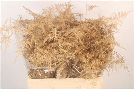 <h4>Asp Middel Getopt Antique Gold</h4>