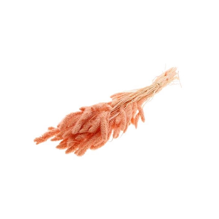 <h4>Bunch Setaria Slv L75 150g</h4>