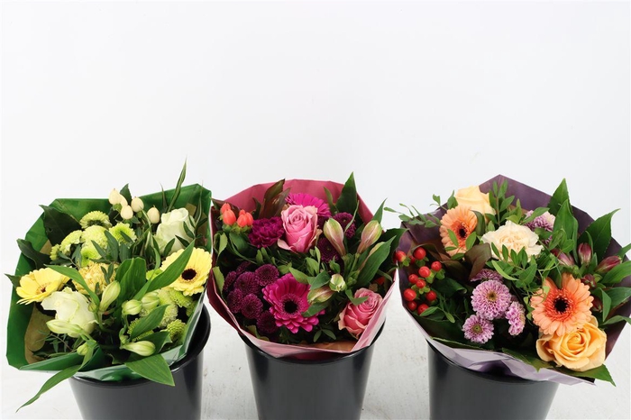 <h4>Bqt Quattro 3kl 14st</h4>