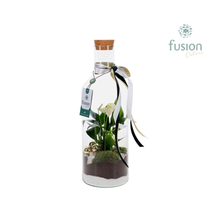Green Bottle Fles Medium met Kerst arrangement