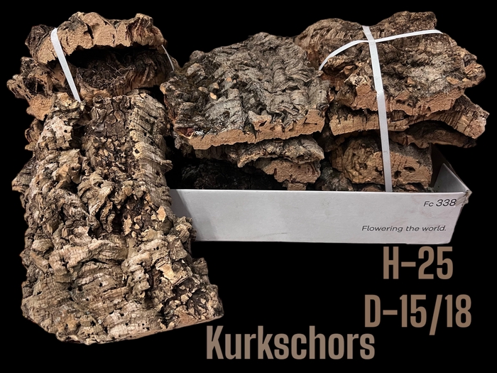 <h4>HUIS EN TUINDECO H%</h4>