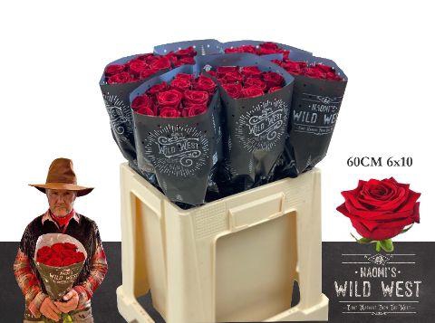 <h4>R GR RED NAOMI! WILD WEST 60</h4>