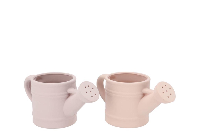 <h4>Chai Natural Pot Can Ass 22x11x11cm</h4>