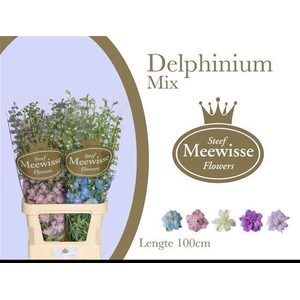 DELPH DU GEM