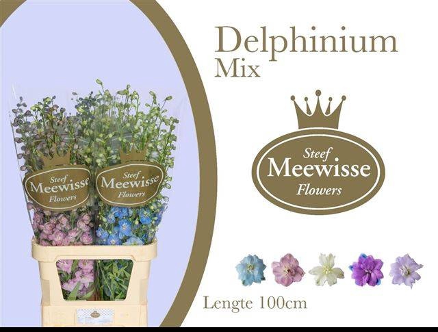 <h4>DELPH DU GEM</h4>