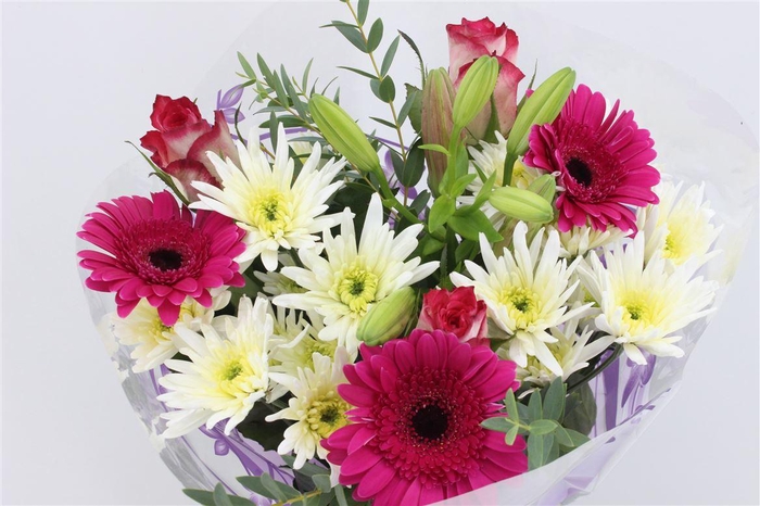 <h4>Boeket Splash Cerise</h4>