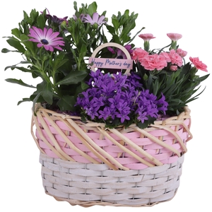 Mothersday Arr. Outdoor Willow Basket oval Threetone Ø28cm 4PP
