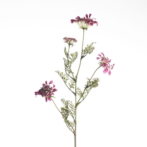 AF Daucus Carota L96cm D.Pink