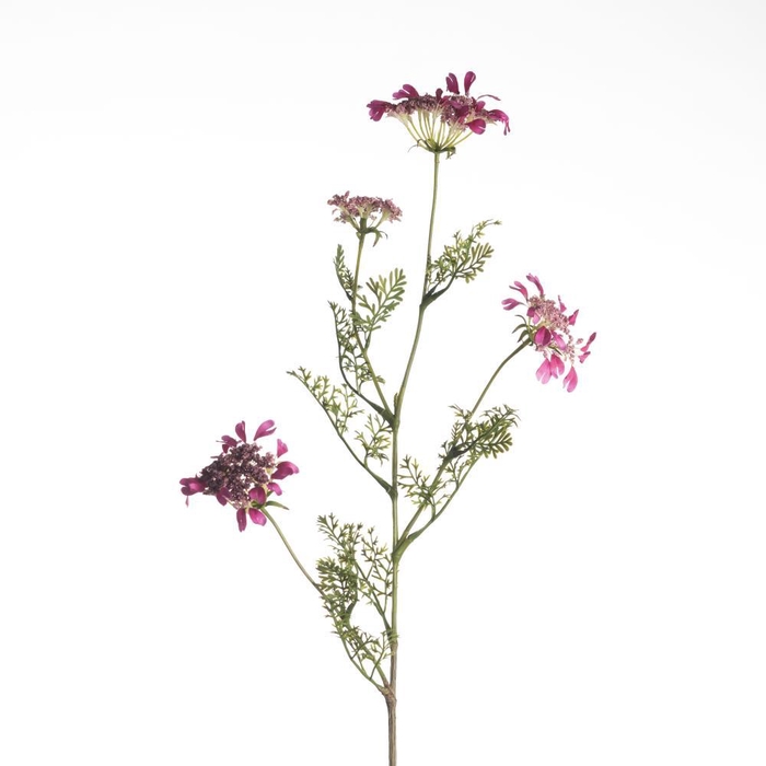 <h4>AF Daucus Carota L96cm D.Pink</h4>