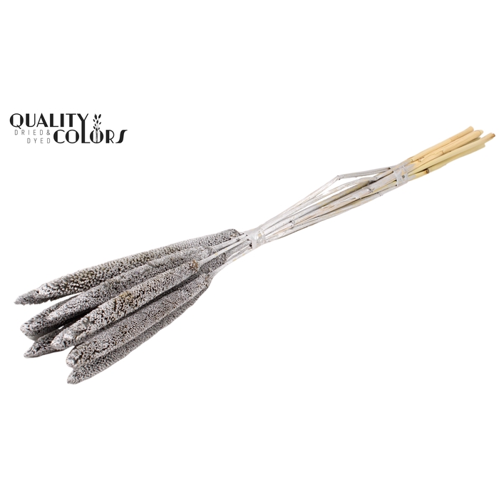 <h4>Babala on natural stem Silver</h4>