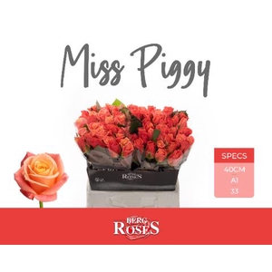 R GR MISS PIGGY+