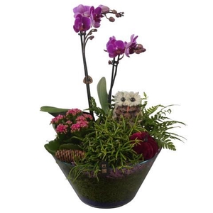 PTHG8275 Arrangement Autumn Glass in glas schaal