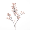 AF Rosehip Corallo Sp L99cm Or