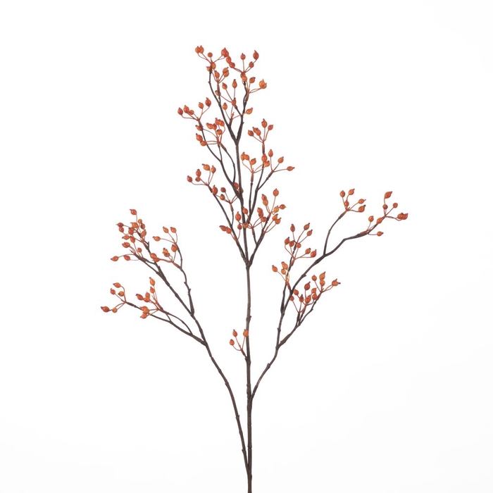 <h4>Af Rosehip Corallo Sp L99cm Or</h4>