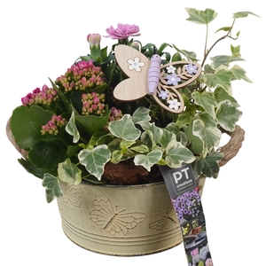 PTPP6807 Arrangement Patio in metalen bak