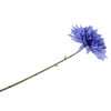 Silk Dahlia Pointy Blue 65cm Nm