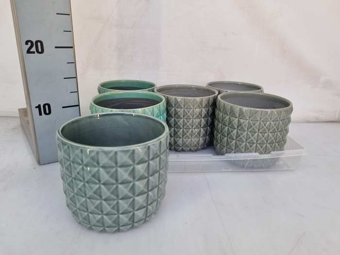 <h4>HUIS EN TUINDECO H%</h4>