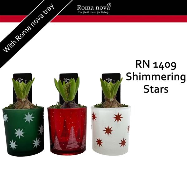 <h4>Arrangementen Hyacinthus 6%</h4>