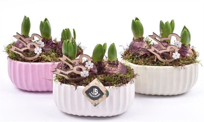 <h4>Keramiek ovaal mix kleur 18,5x12cm</h4>