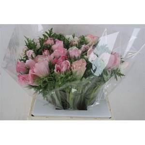 Anem Mistral Super Rosa Chiaro