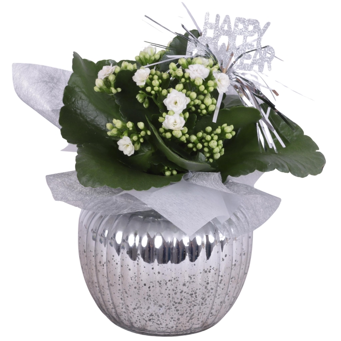 <h4>New Year Arr. Indoor Glass Round Relief Silver Ø15cm 1PP</h4>