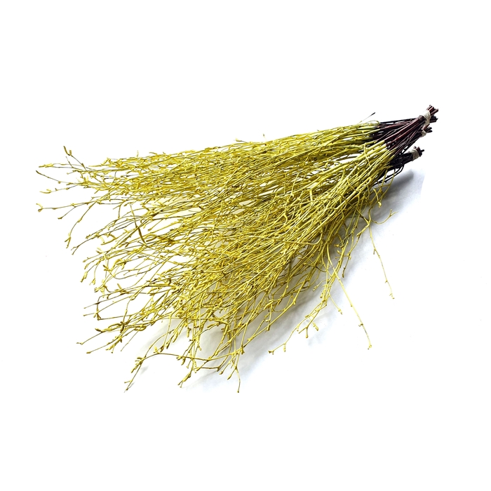 <h4>Birch 70cm 10stems per bunch Light Yellow</h4>