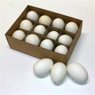 <h4>EI GANS X12 PER COLLI</h4>