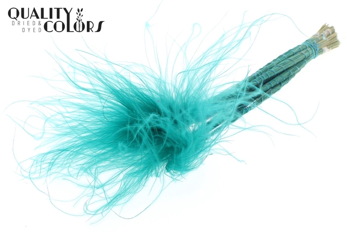 <h4>Droogbloemen   ...bewerkt H%</h4>