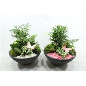 1189 EBBI INDOOR RO/WIT