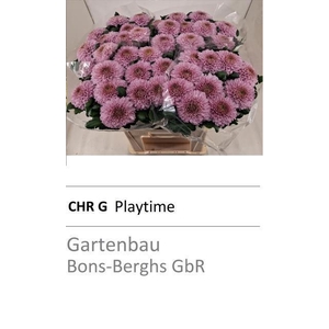 CHR G PLAYTIME
